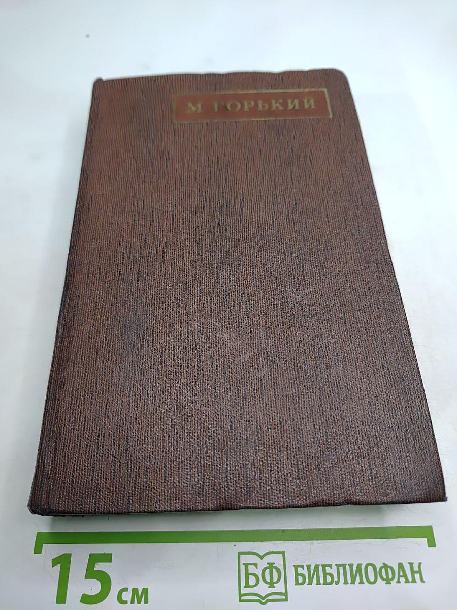 Собрание сочинений. Том десятый: Городок Окуров. Жизнь Матвея Кожемякина. Наброски