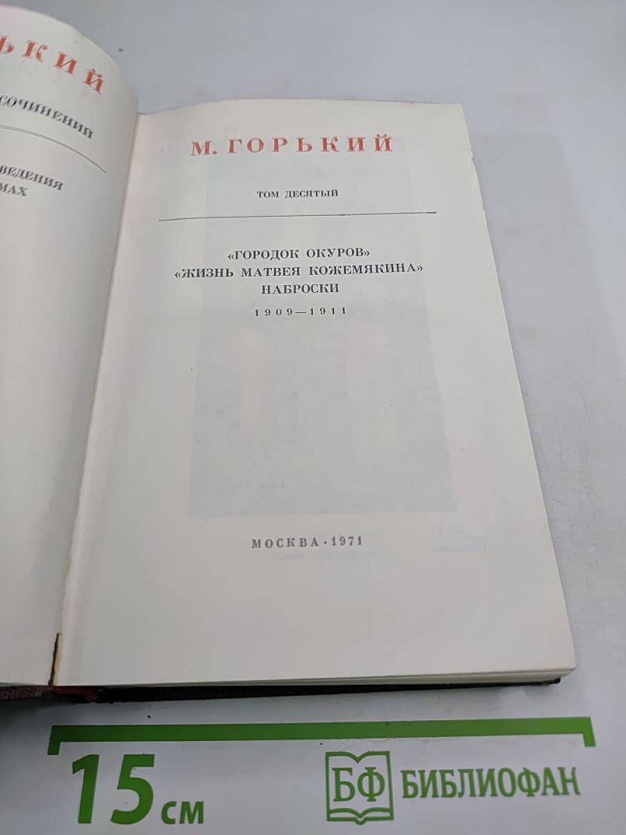 Собрание сочинений. Том десятый: Городок Окуров. Жизнь Матвея Кожемякина. Наброски