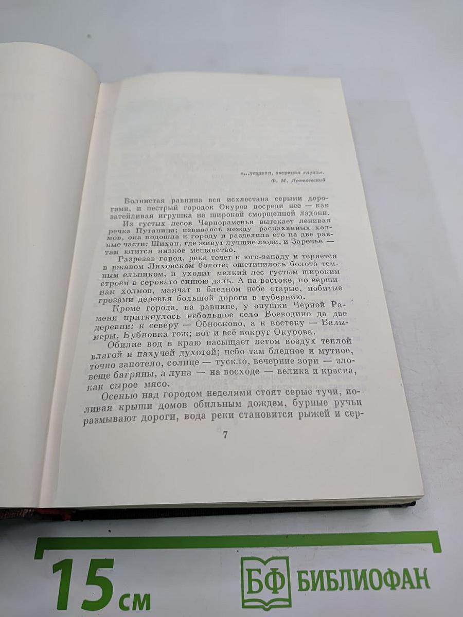 Собрание сочинений. Том десятый: Городок Окуров. Жизнь Матвея Кожемякина. Наброски