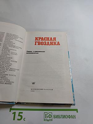 КРАСНАЯ ГВОЗДИКА. Очерки о комсомольцах восьмидесятых
