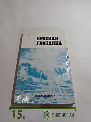 КРАСНАЯ ГВОЗДИКА. Очерки о комсомольцах восьмидесятых