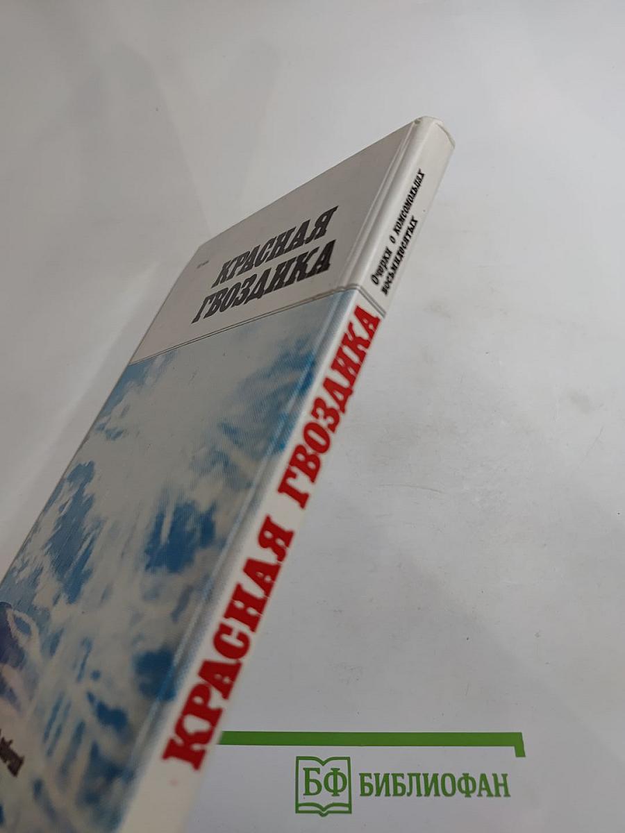 КРАСНАЯ ГВОЗДИКА. Очерки о комсомольцах восьмидесятых