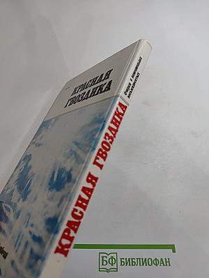 КРАСНАЯ ГВОЗДИКА. Очерки о комсомольцах восьмидесятых