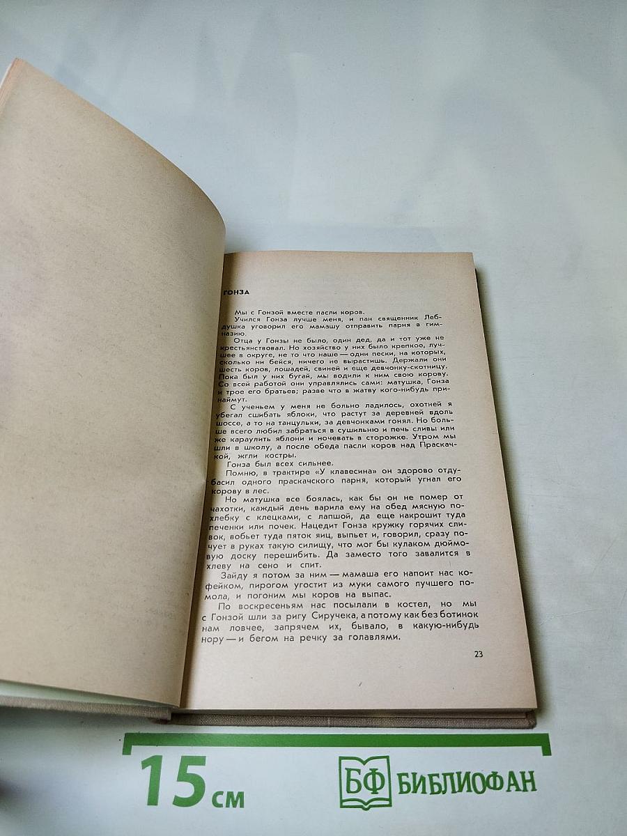 Вечера на соломенном тюфяке