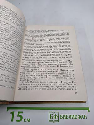 Петербургские встречи Пушкина