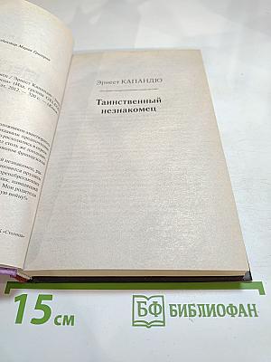 Таинственный незнакомец