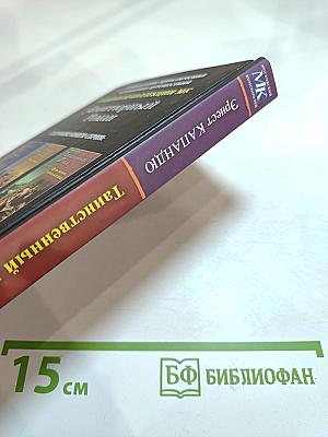 Таинственный незнакомец