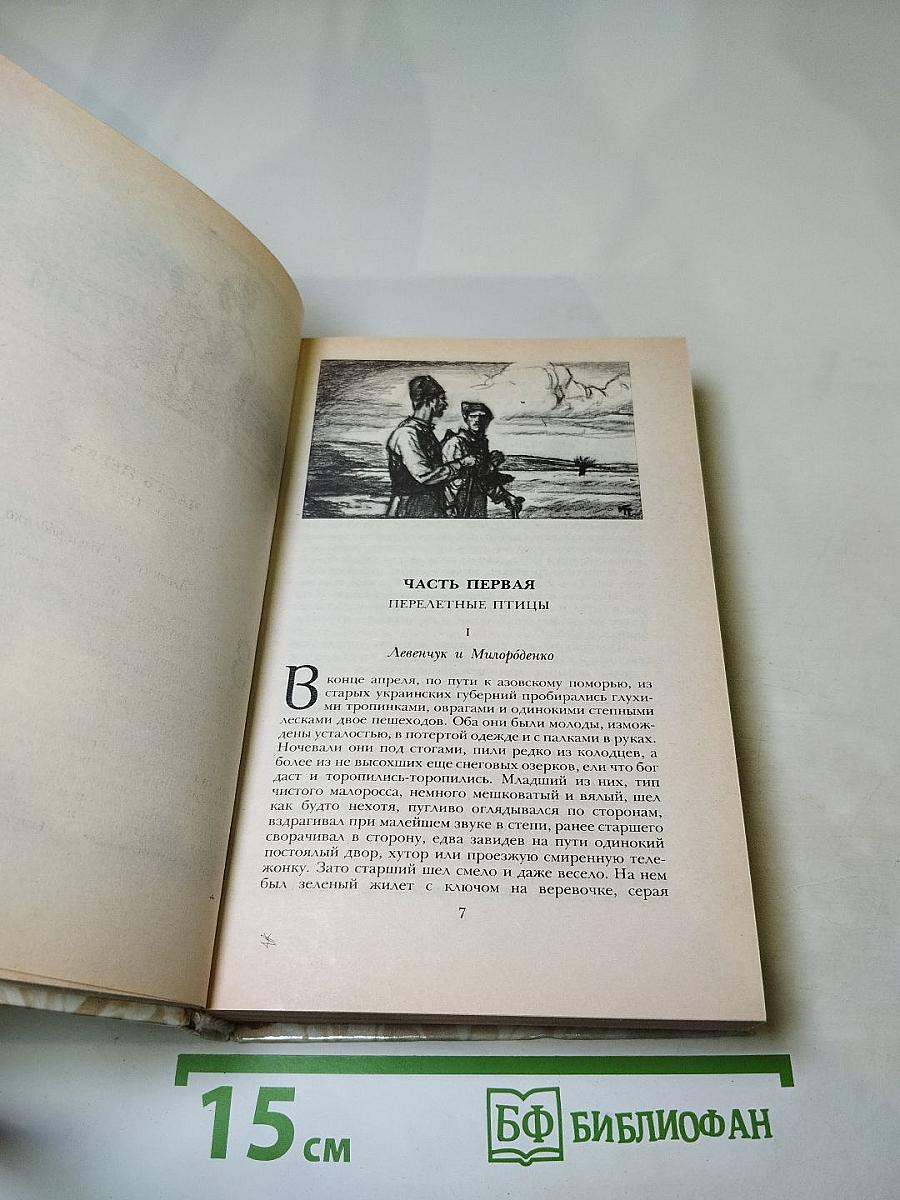 Беглые в Новороссии. Воля. Княжна Тараканова