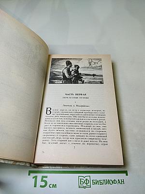 Беглые в Новороссии. Воля. Княжна Тараканова