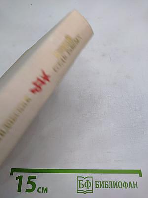 Первый среди равных