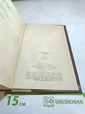 Россия Молодая. Книга вторая