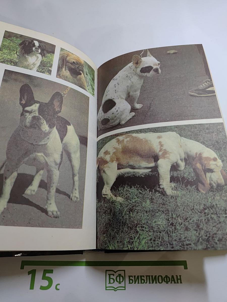 Ваши домашние четвероногие друзья