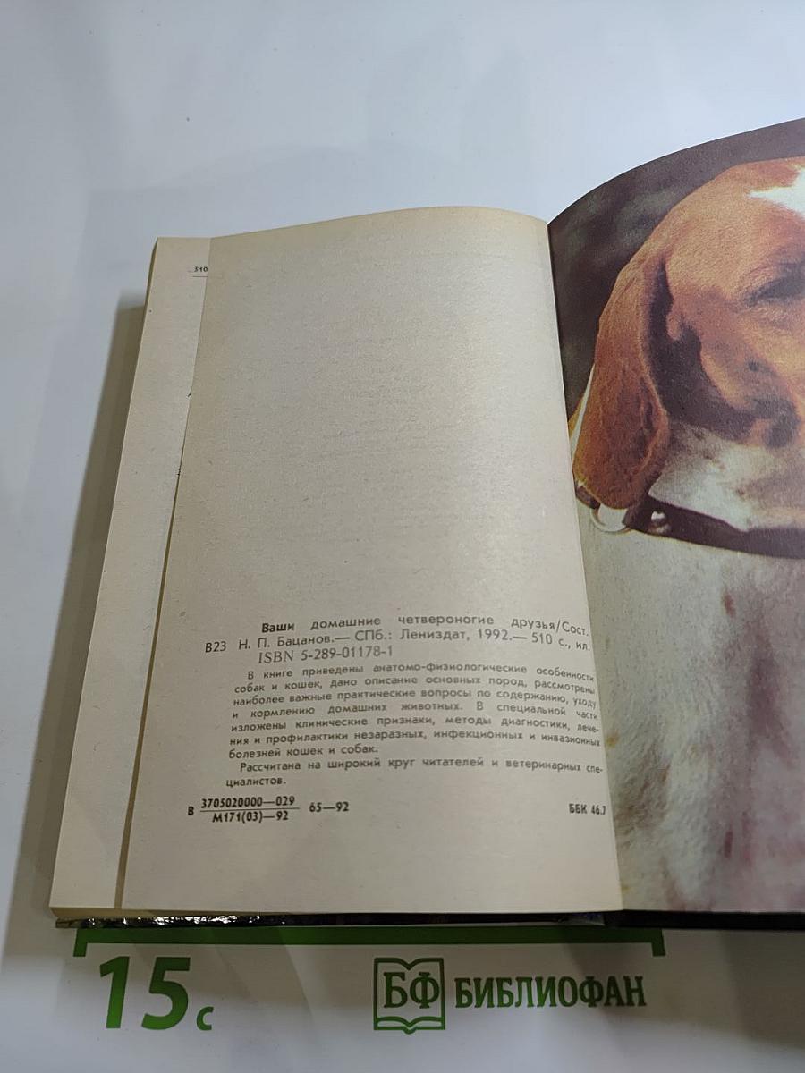 Ваши домашние четвероногие друзья