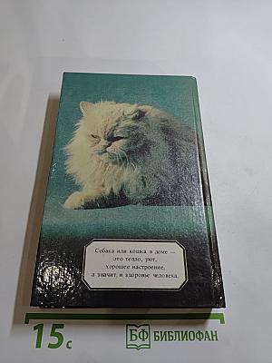 Ваши домашние четвероногие друзья