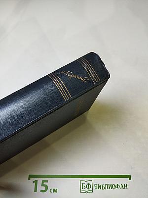 Собрание сочинений. Том 24. Статьи, речи, приветствия. 1907-1928