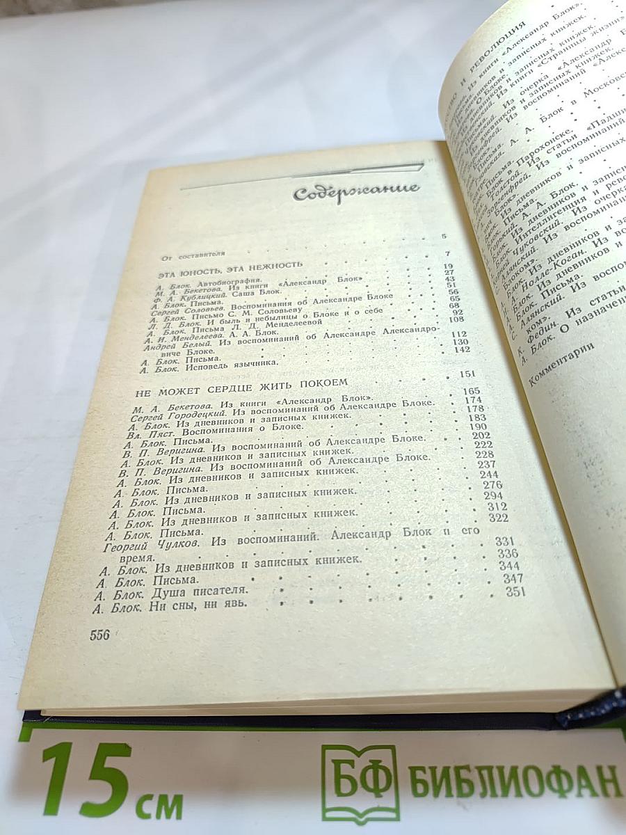 Я лучшей доли не искал... Судьба Александра Блока в письмах, дневниках, воспоминаниях
