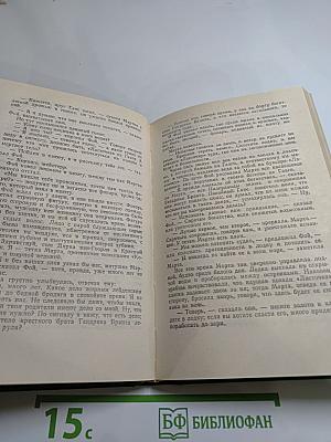 Лейденская красавица