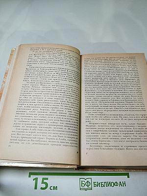 Гойя, или Тяжкий путь познания