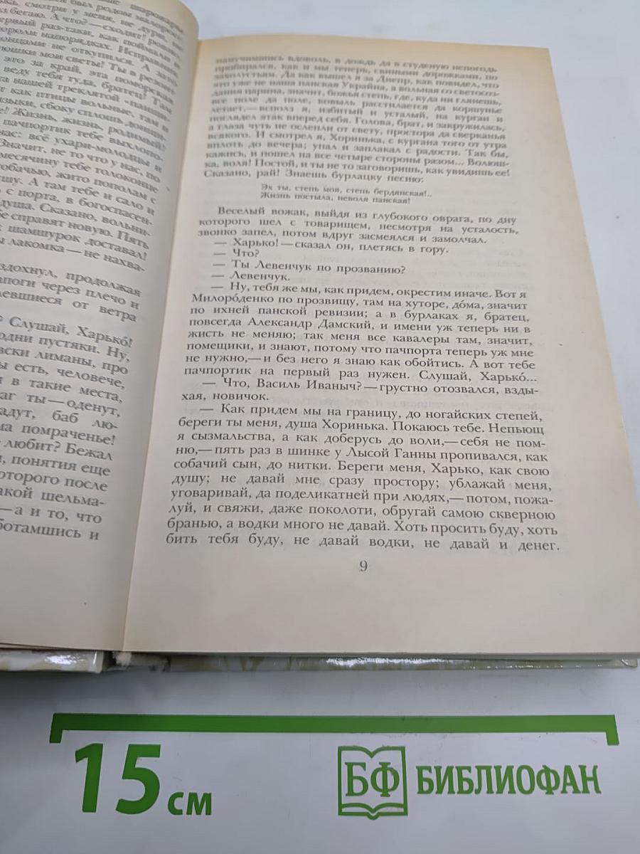 Г. П. Данилевский. Беглые в Новороссии. Воля. Княжна Тараканова