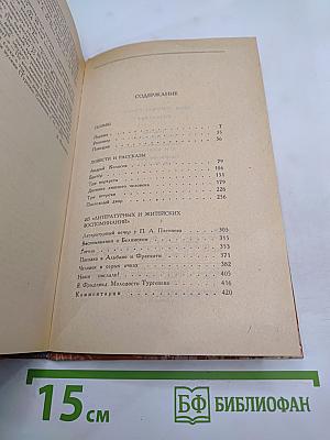 Сочинения: Поэмы, Повести и рассказы, Из «литературных и житейских воспоминаний»