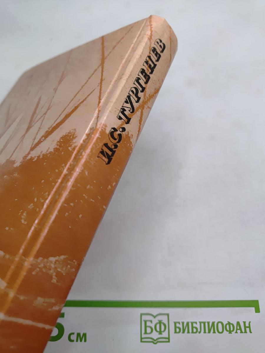 Сочинения: Поэмы, Повести и рассказы, Из «литературных и житейских воспоминаний»