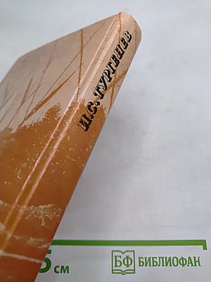 Сочинения: Поэмы, Повести и рассказы, Из «литературных и житейских воспоминаний»