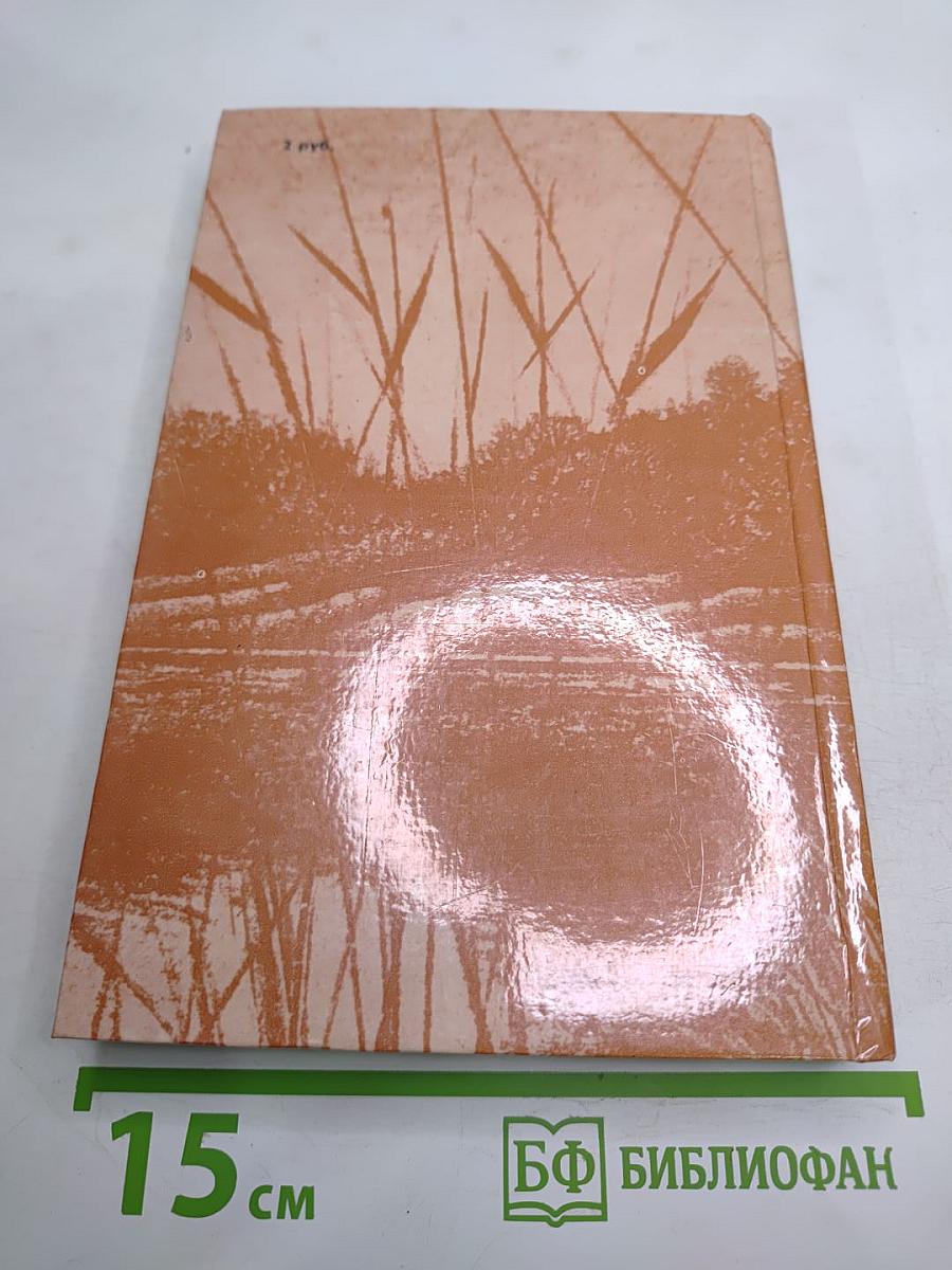 Сочинения: Поэмы, Повести и рассказы, Из «литературных и житейских воспоминаний»