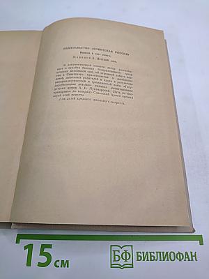 Андрей с Красной улицы