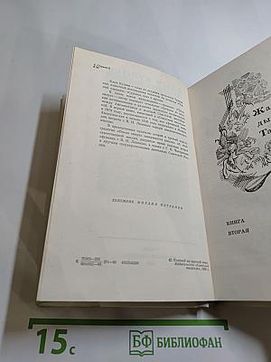 Посол Эмира. Книги вторая и третья