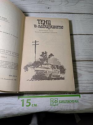 Тени в лабиринте