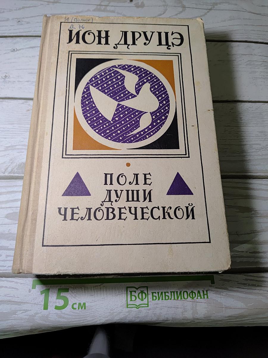 Поле души человеческой