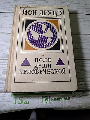 Поле души человеческой