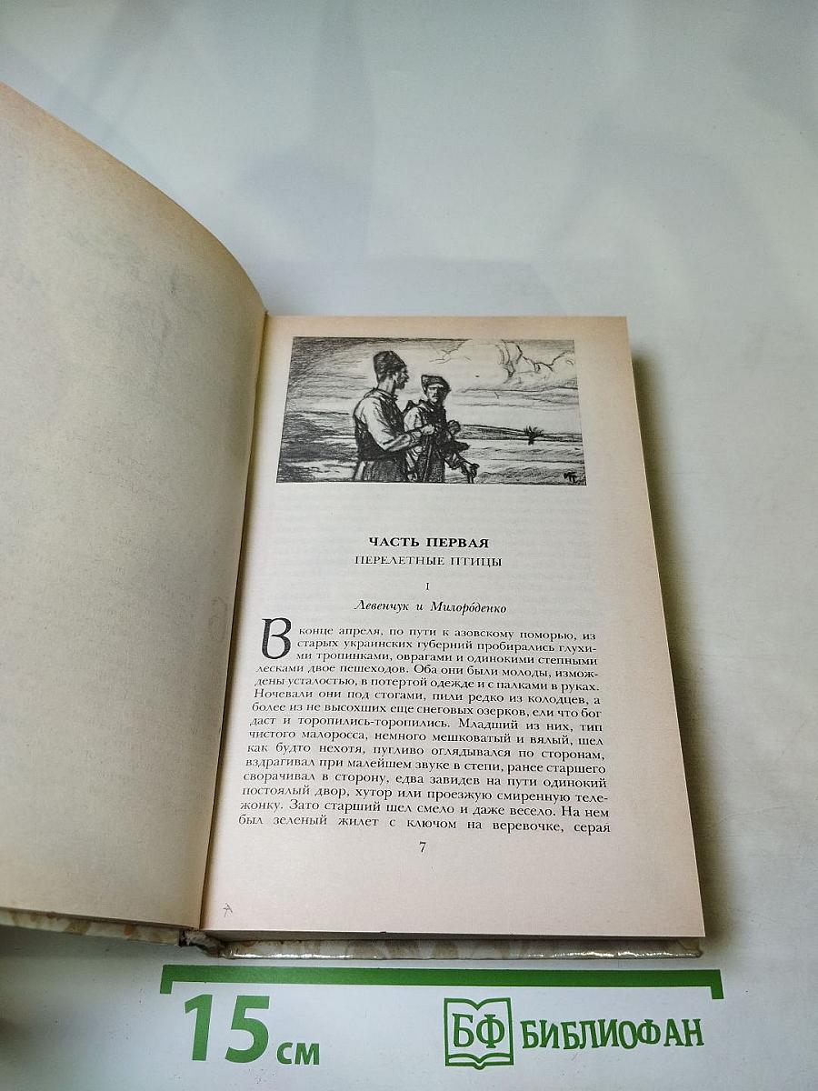 Беглые в Новороссии. Воля. Княжна Тараканова