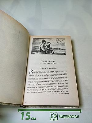 Беглые в Новороссии. Воля. Княжна Тараканова