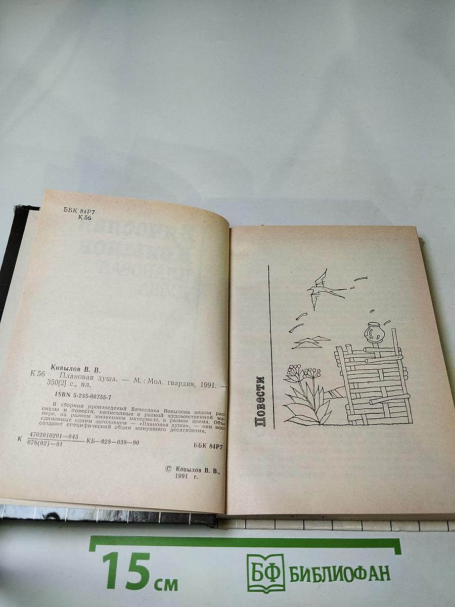 Плановая душа