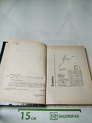 Плановая душа