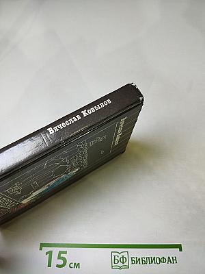 Плановая душа