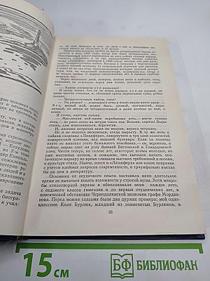 Звездный цвет