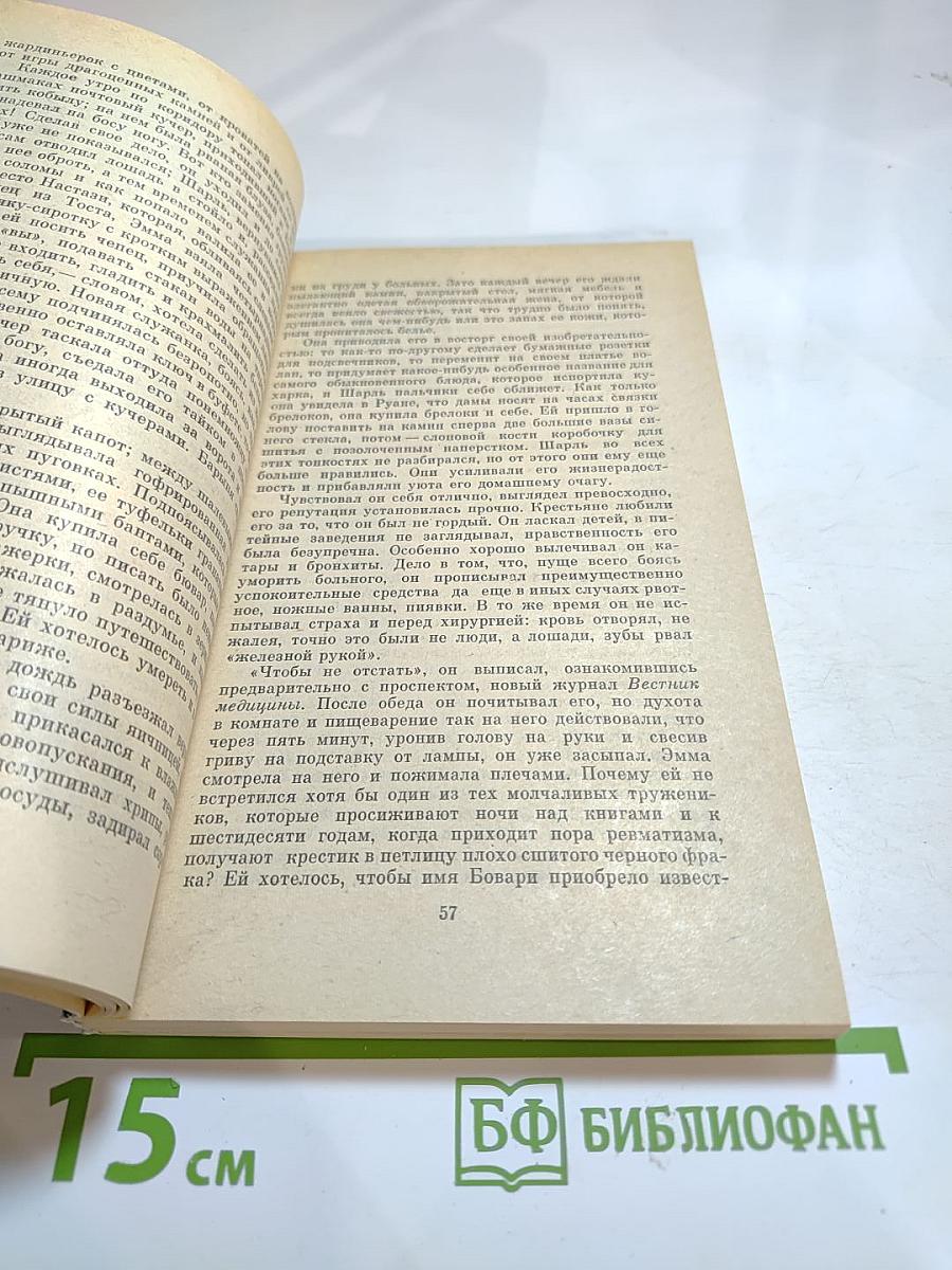 Госпожа Бовари