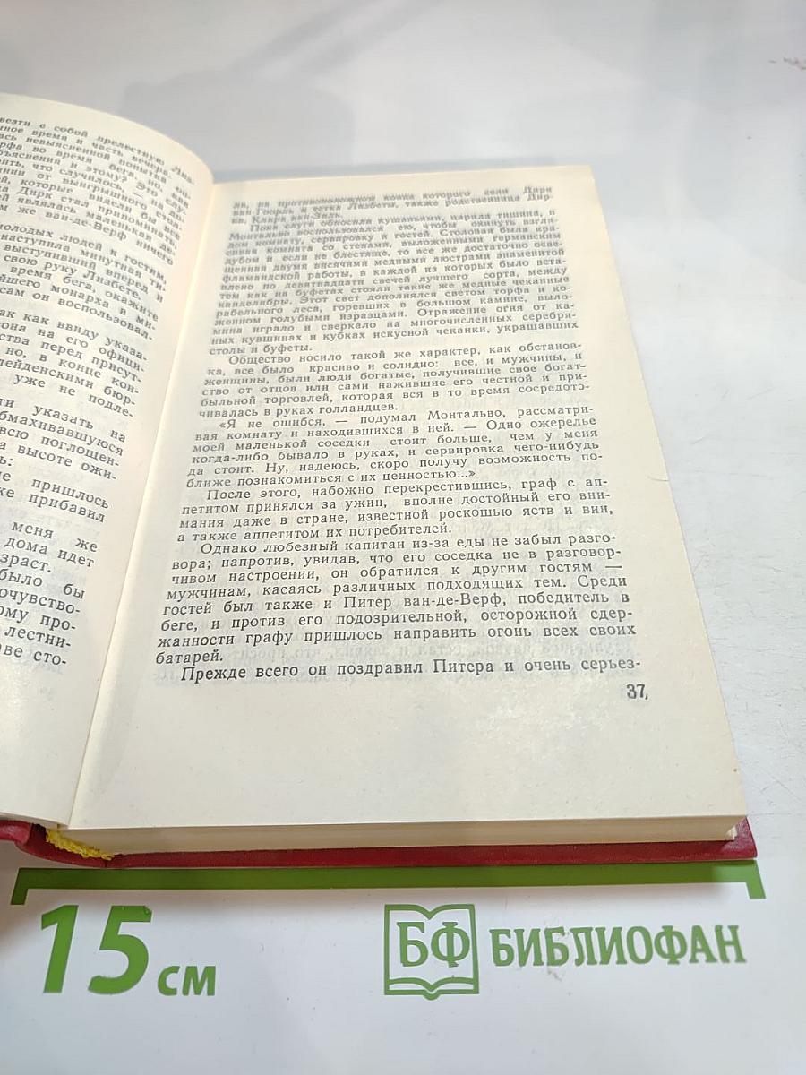 Лейденская красавица