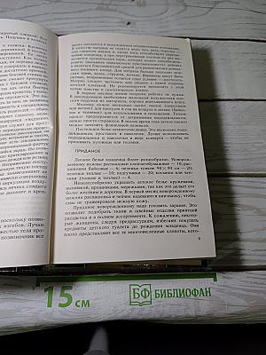 От колыбели до школы и далее