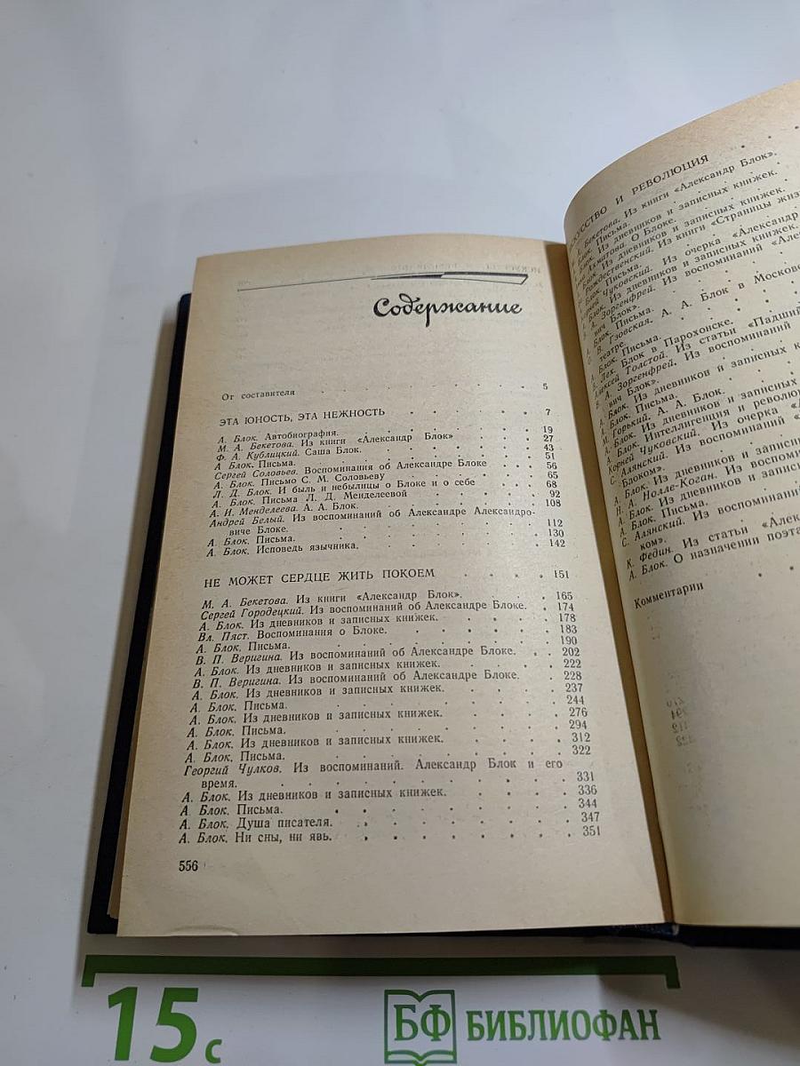 Я лучшей доли не искал... (Судьба Александра Блока в письмах, дневниках, воспоминаниях)