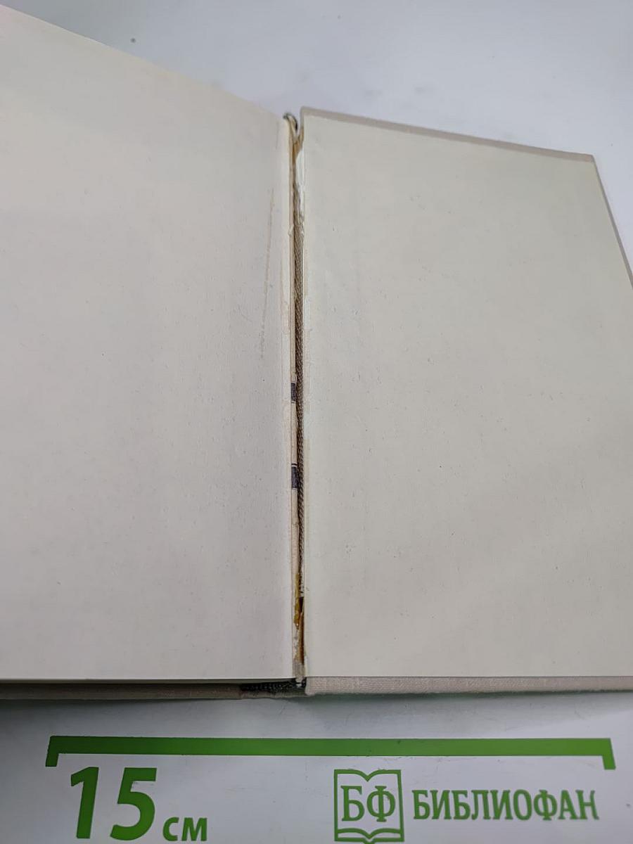 Билет на всю вечность