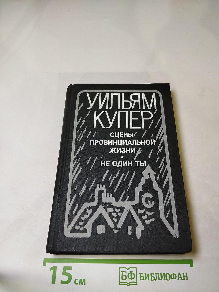 Сцены провинциальной жизни. Не один ты