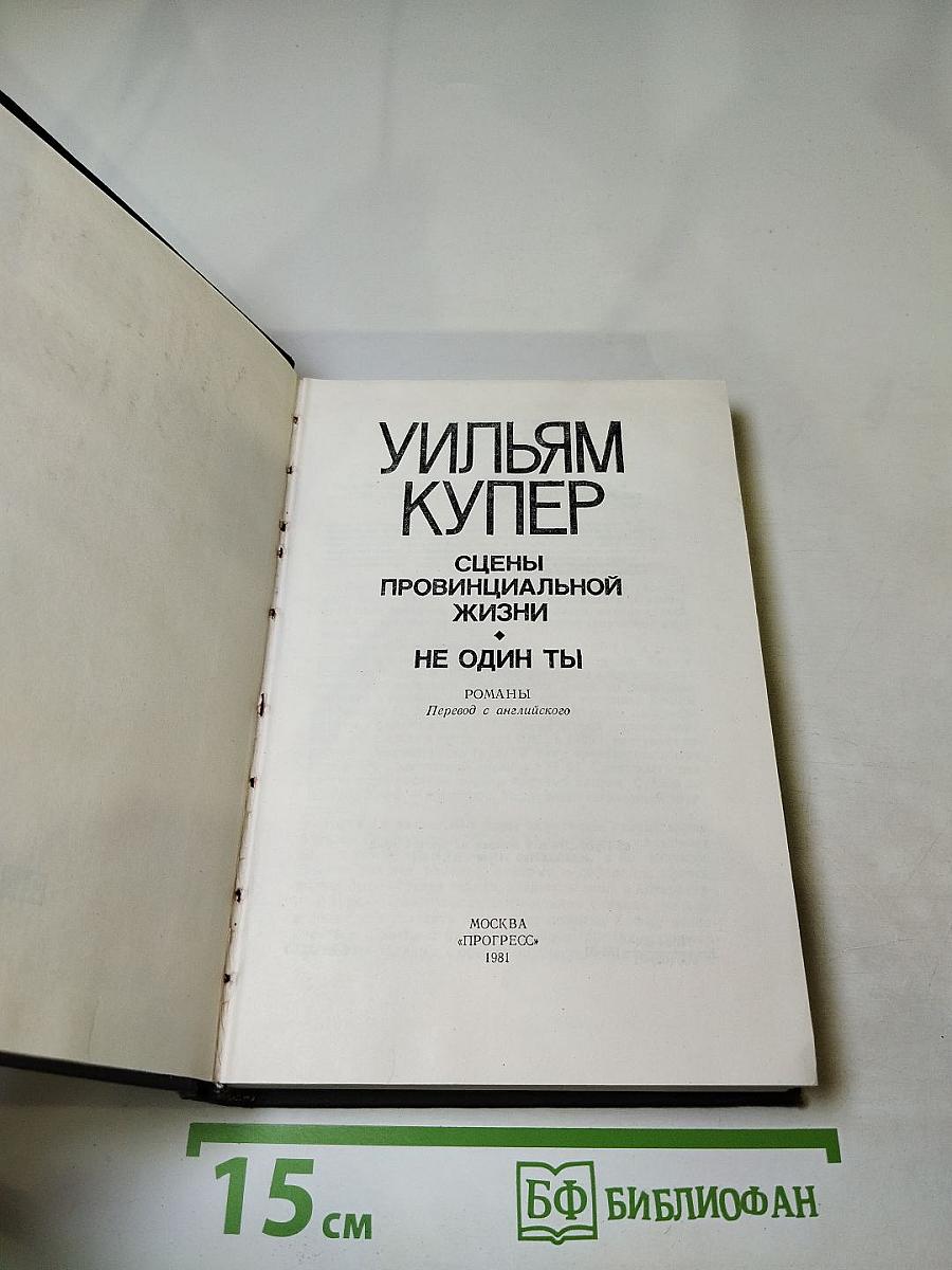 Сцены провинциальной жизни. Не один ты
