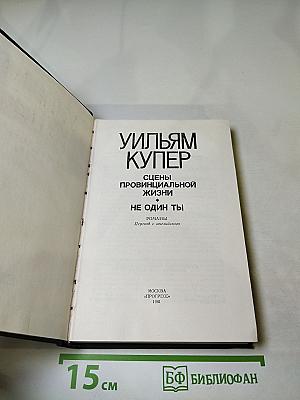Сцены провинциальной жизни. Не один ты