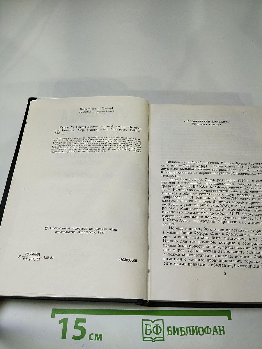 Сцены провинциальной жизни. Не один ты