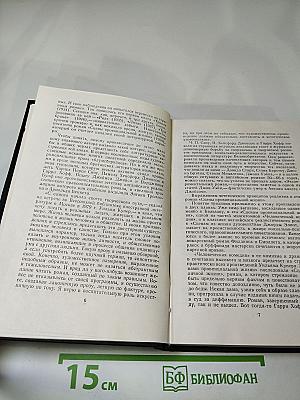 Сцены провинциальной жизни. Не один ты