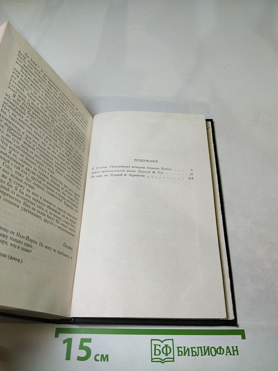 Сцены провинциальной жизни. Не один ты