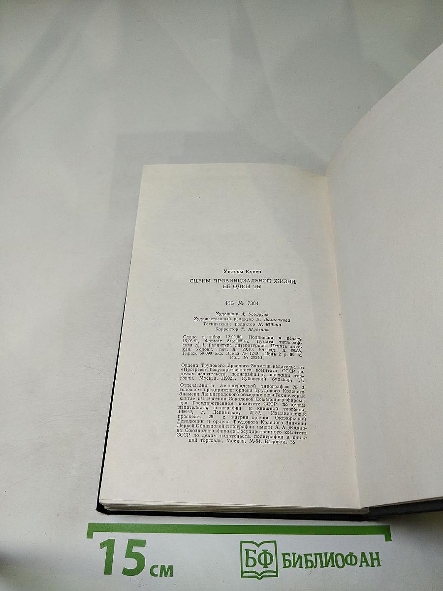 Сцены провинциальной жизни. Не один ты